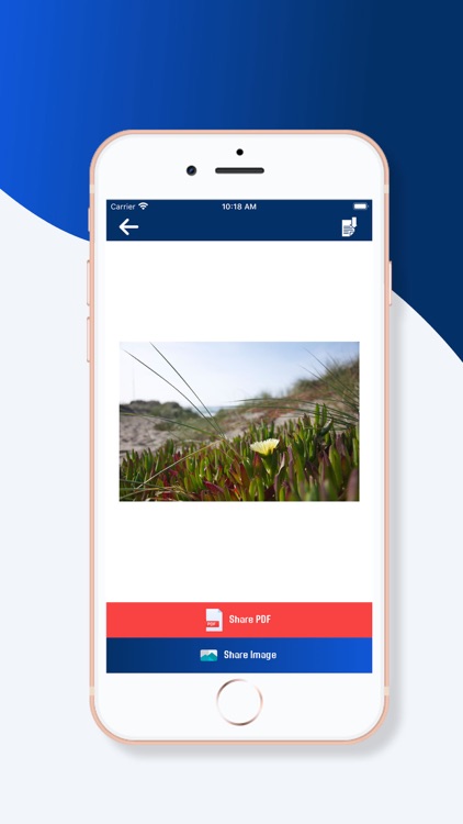 Document Scanner App screenshot-4