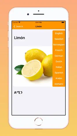 Game screenshot Tigrigna Spanish hack