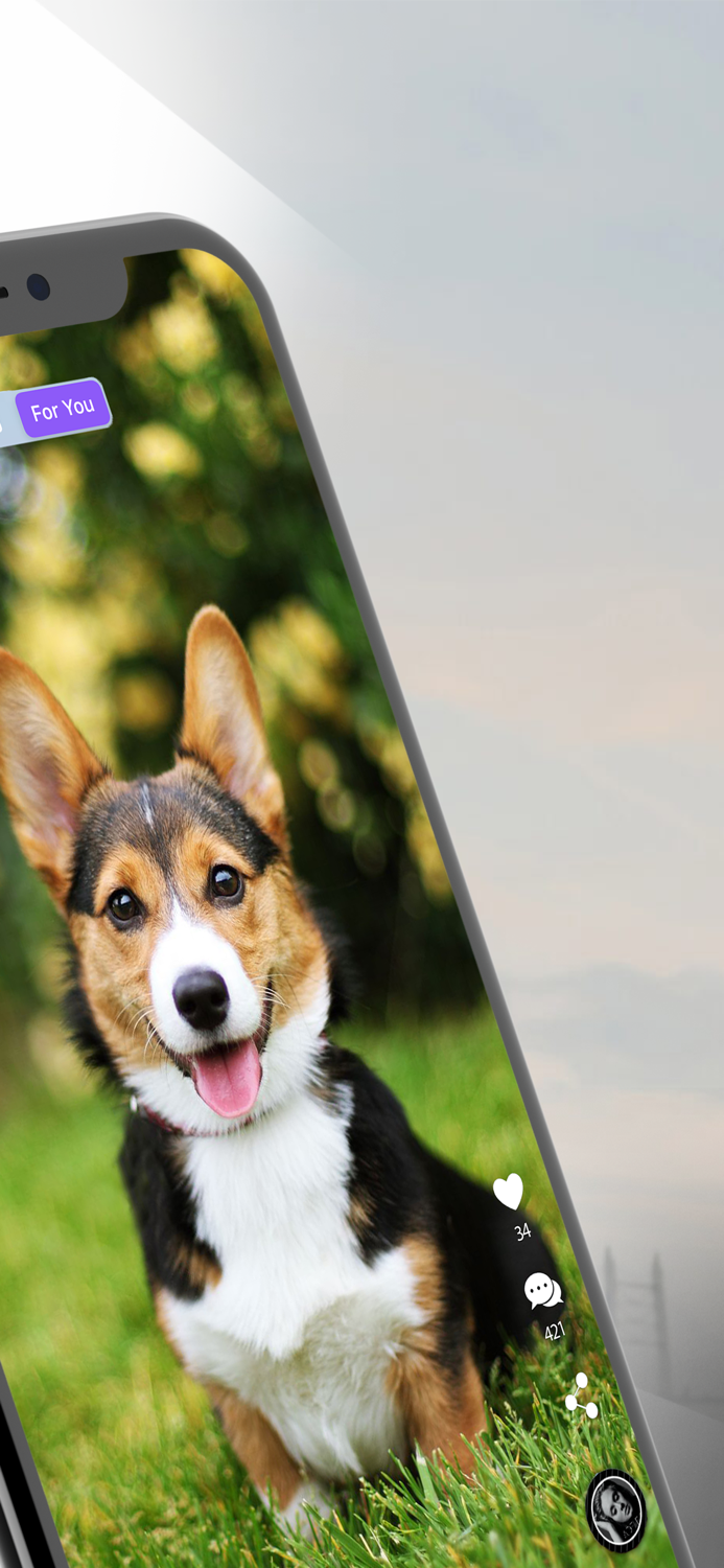 Teeky Create your own videos