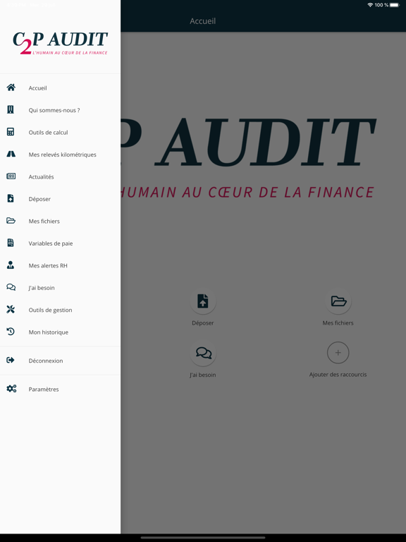 Screenshot #5 pour C2P Audit