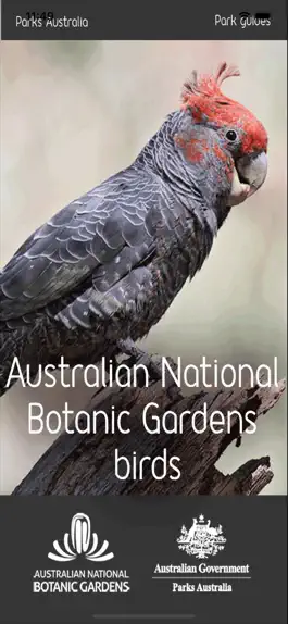 Game screenshot ANBG Birds mod apk