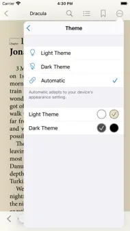 Bluefire Reader iphone bilder 3