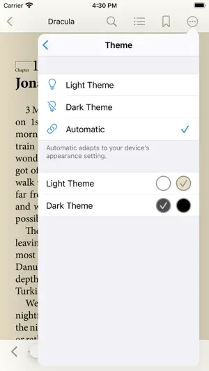 Bluefire Reader screenshot 4