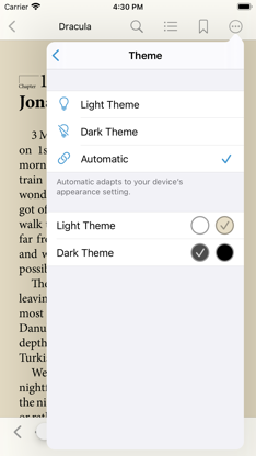 Bluefire Reader screenshot 4