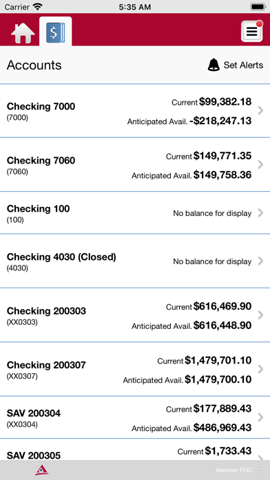 American National for Business Screenshot