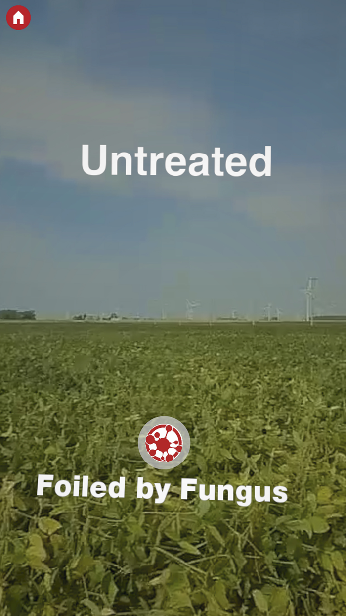 BASF Revytek™ AR Portal