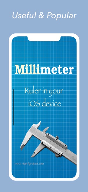 Millimeter Pro - screen ruler by VisTech.Projects LLC