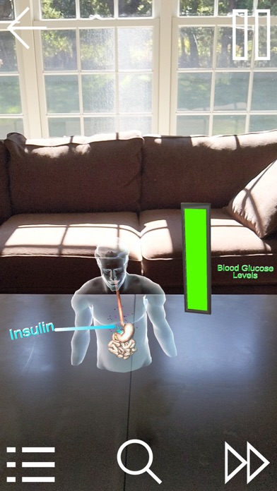 Individualizing Diabetes Care Screenshot