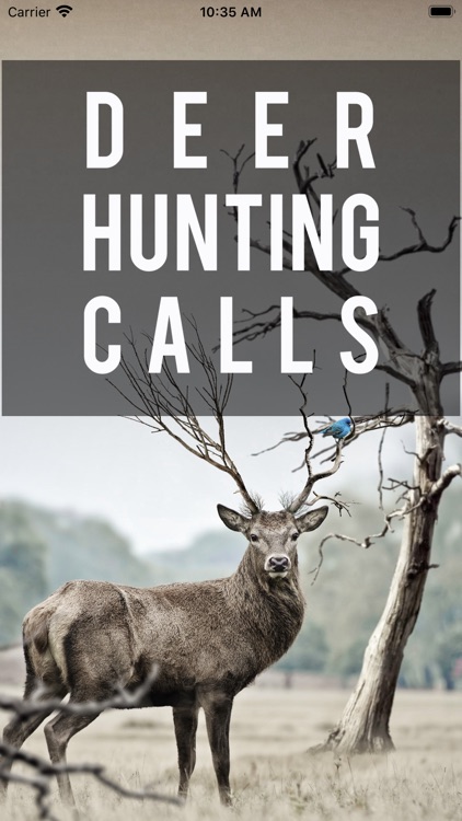Easy Deer Hunting Calls: Sound screenshot-0