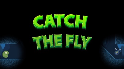Catch The Fly Gameのおすすめ画像1