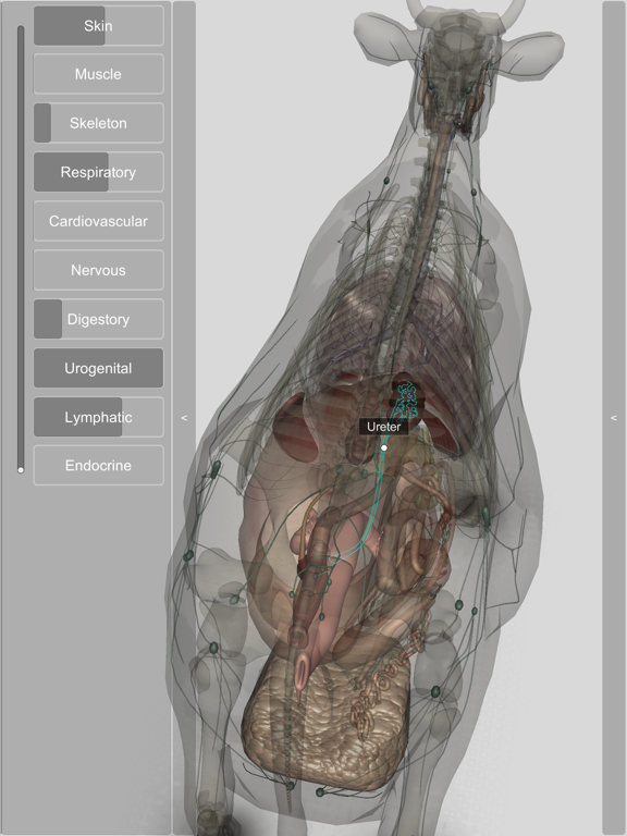 3D Bovine Anatomyのおすすめ画像5