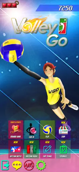 Game screenshot VolleyGo (VGO) apk