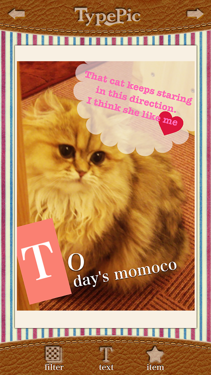 TypePic-Put text in the image