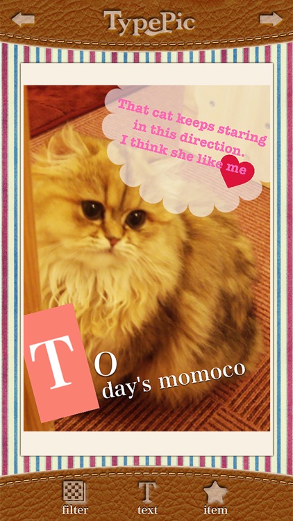 TypePic-Put text in the image