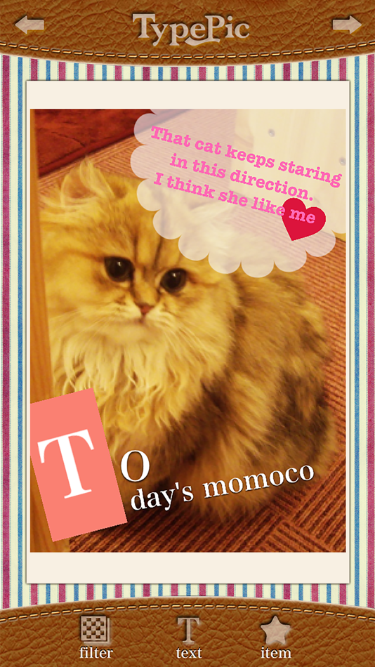 #2. TypePic-Put text in the image (iOS) Av: Fineseed