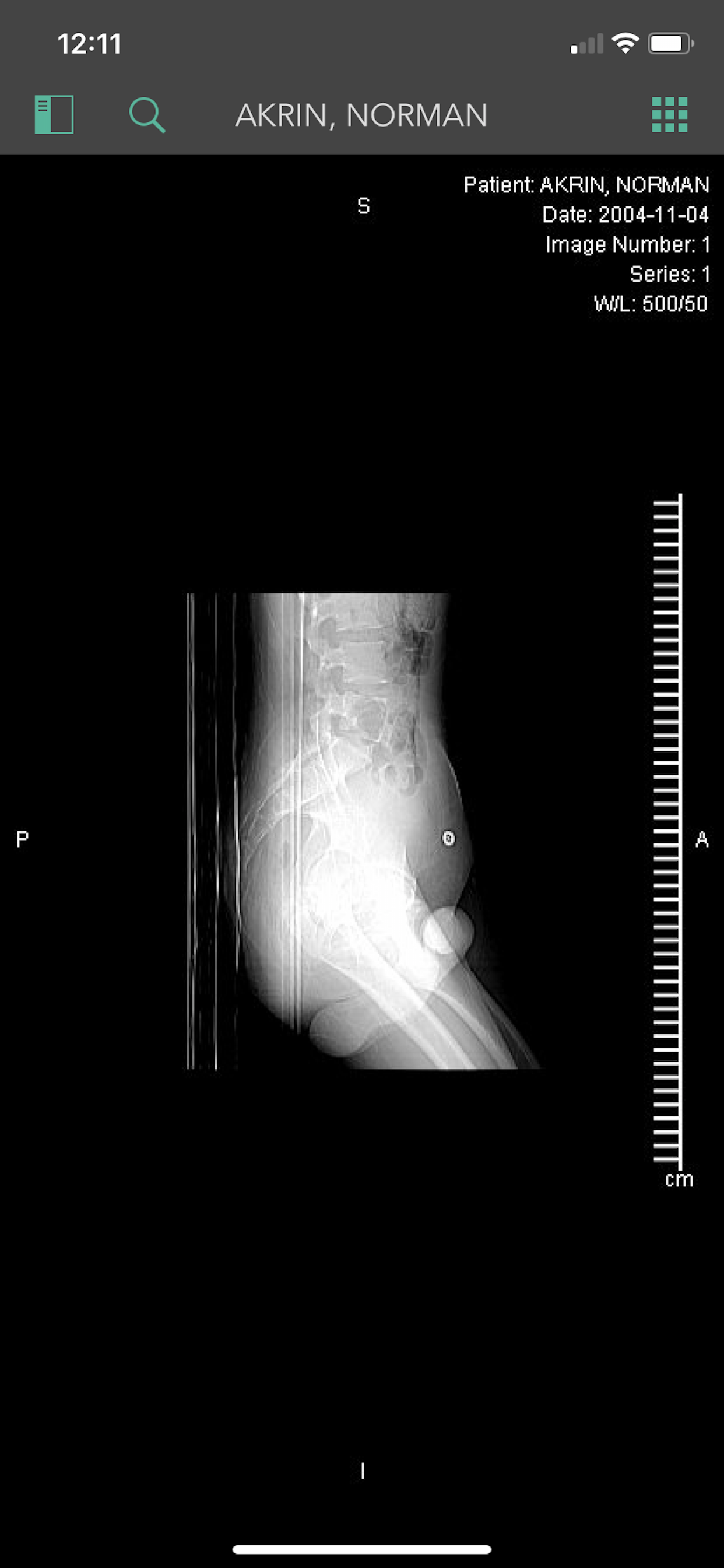 Synapse Mobility (Global)