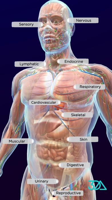 Screenshot #1 pour 3DAnatomica