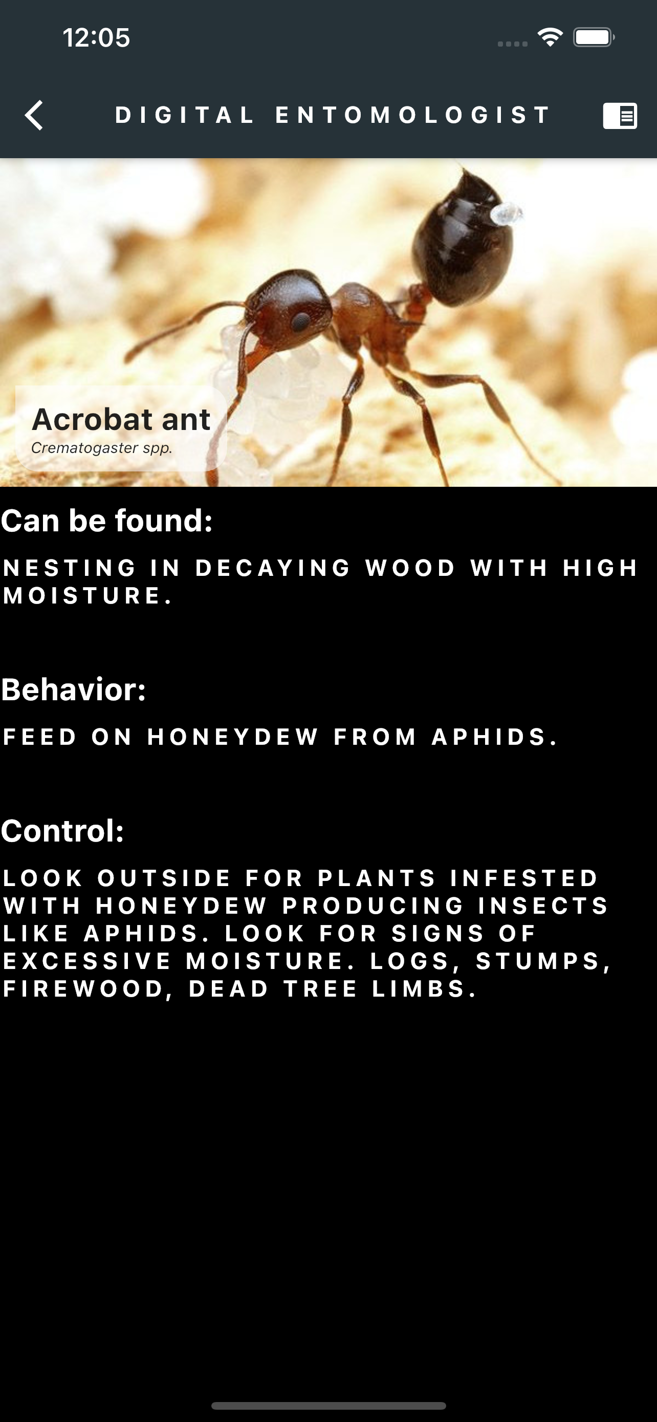 Digital Entomologist