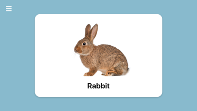 Screenshot #2 pour Simple Toddler Flash Cards