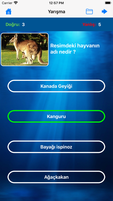 Hayvan Sesleri Screenshot