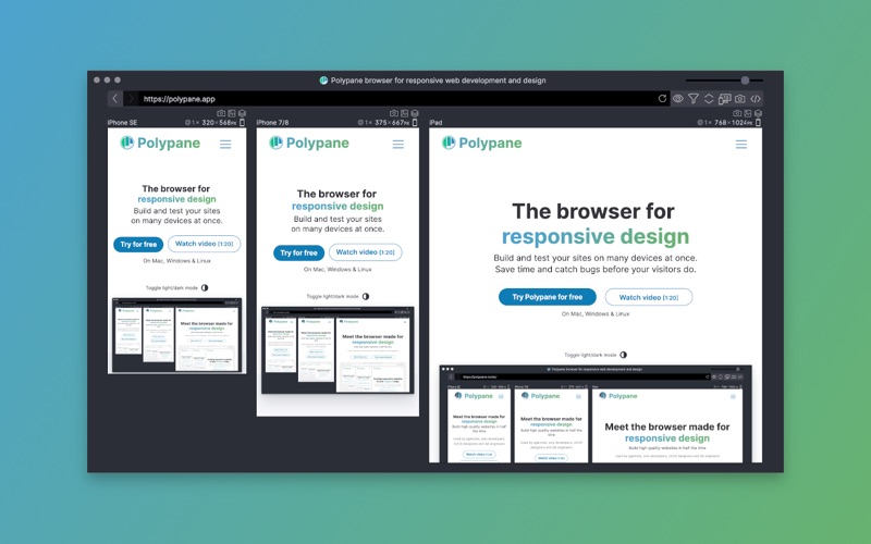 Screenshot #2 pour Polypane helper