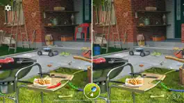 Game screenshot Hidden Differences:Spot & Find hack
