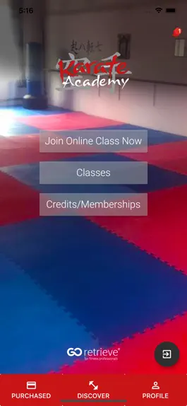 Game screenshot Karate Academy apk