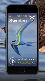 all birds sweden - photo guide iphone screenshot 1