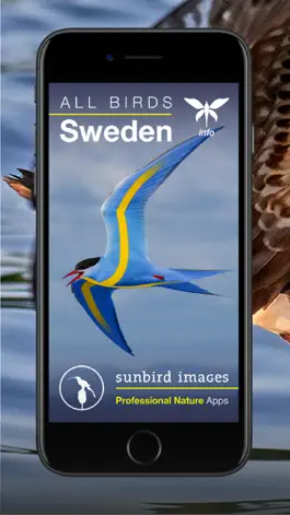 Game screenshot All Birds Sweden - Photo Guide mod apk