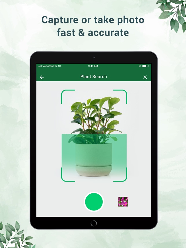 Plant Identifier - Plant ID on the App Store