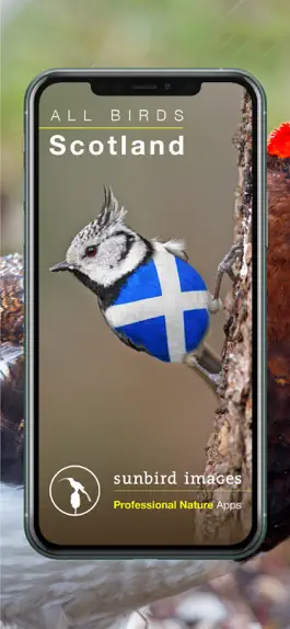 Game screenshot All Birds Scotland Photo Guide mod apk