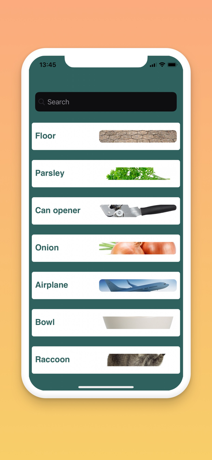 English Spanish Basic Words