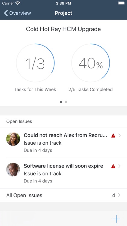 SAP Project Companion