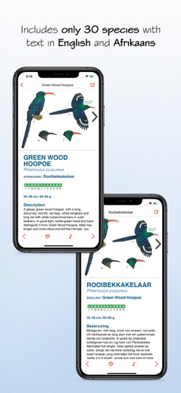 Sasol eBirds South Africa LITEのおすすめ画像3