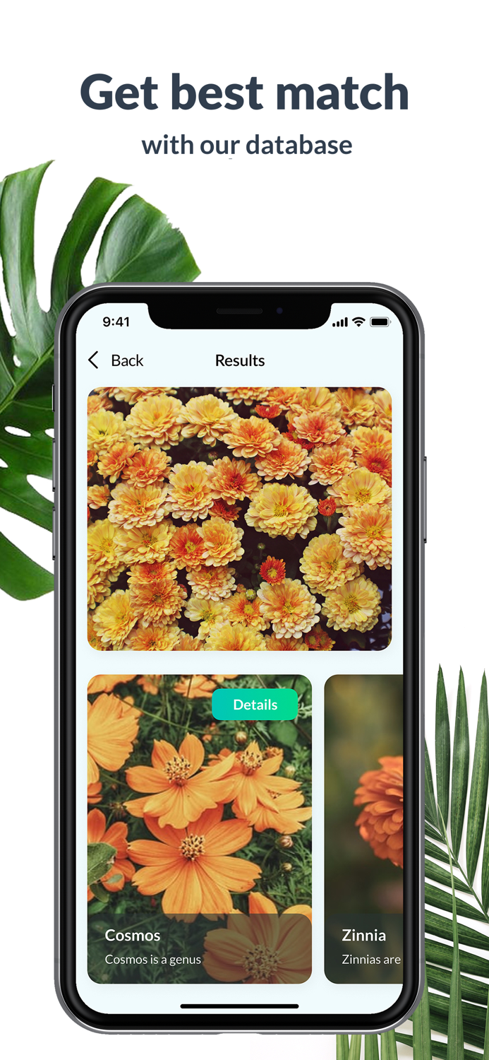 Plant Identification Lite