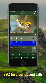 all birds scotland photo guide iphone screenshot 4