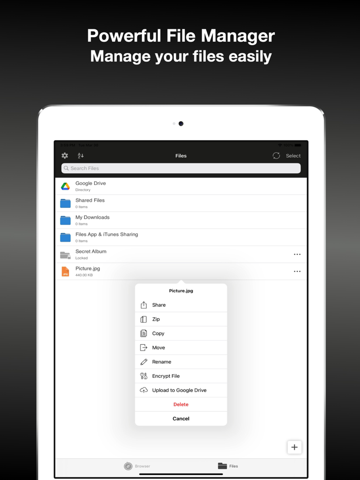 MT  Browser and File Manager