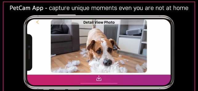 Petcam App Dog Camera App On The App Store
