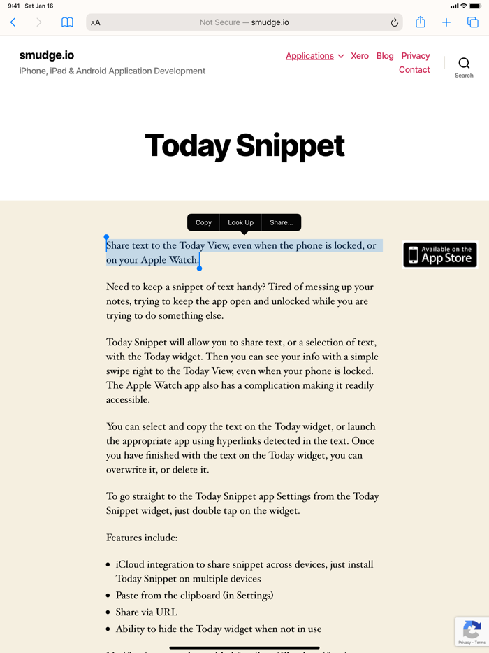 Today Snippet Widget