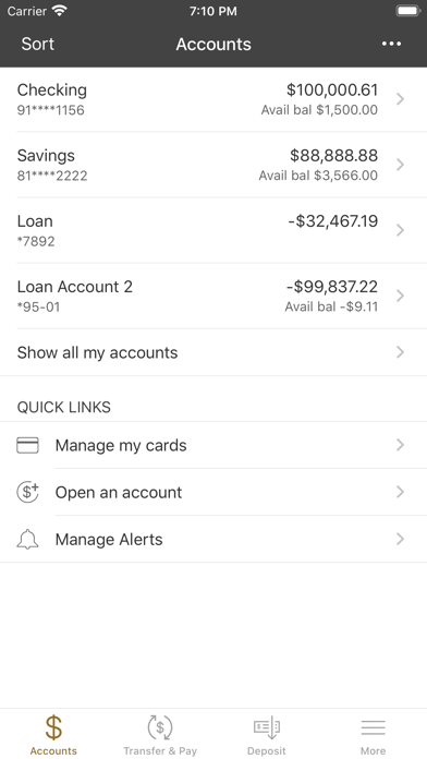 SouthStar Bank Mobile Screenshot