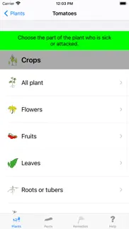 urgency vegetable garden iphone screenshot 2
