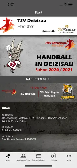 Game screenshot TSV Deizisau Handball apk
