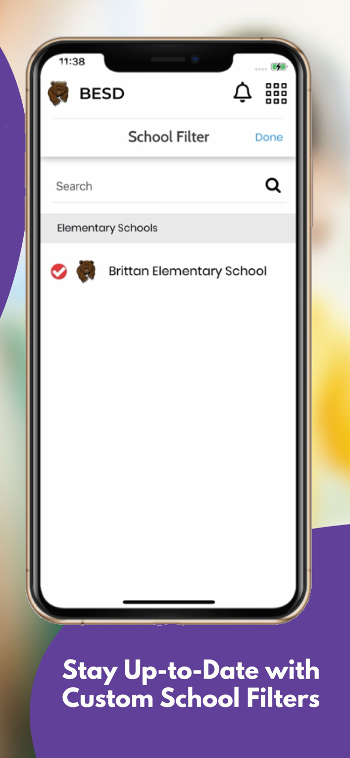 Brittan School District