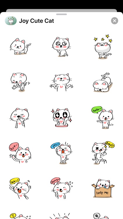 Joy Cute Cat