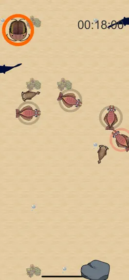 Game screenshot AnomalocarisRace hack