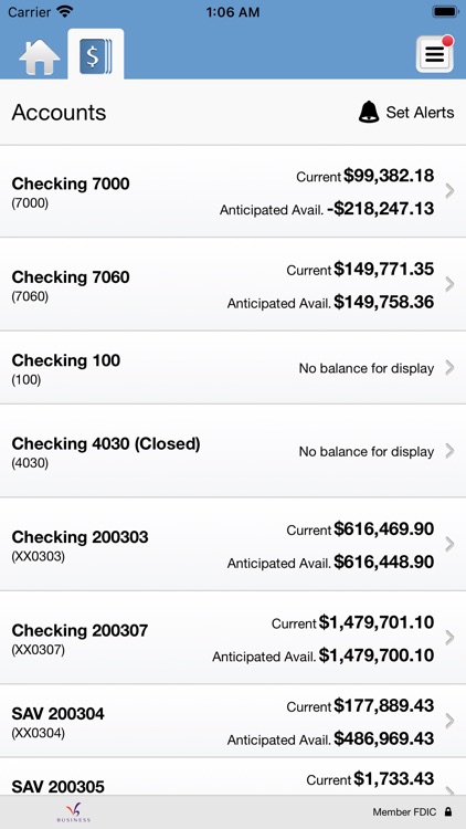 VisionBank Business Banking screenshot-3