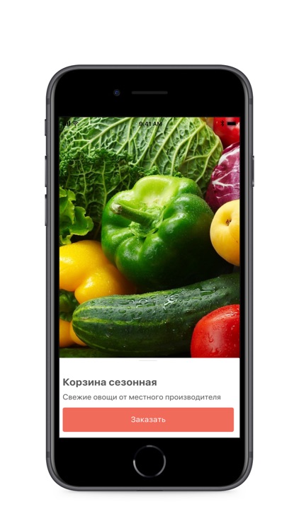 Лавка Редиска