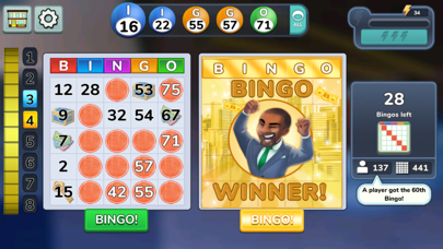 Bingo Tycoon! Screenshot