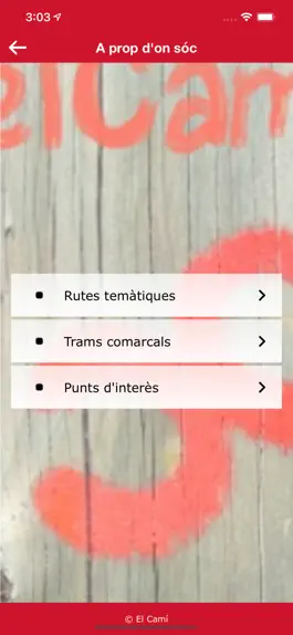 Game screenshot El Camí hack