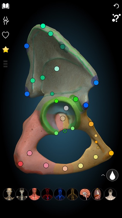 3D Anatomy Learning - Atlas screenshot-8